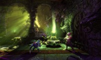 Trine 2 repoussé en vidéo