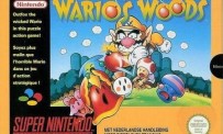 Wario's Wood