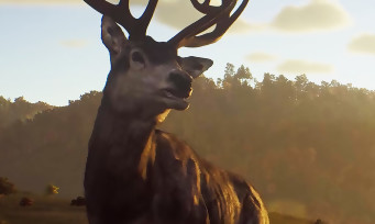 Way of the Hunter : exploration, chasse et conduite, le gameplay se révèle en vidéo