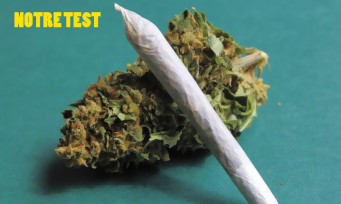 Test Weedcraft Inc : on l'a testé et c'est de la bonne !