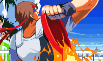 Windjammers : une version collector limitée à 2 500 exemplaires bientôt en vente