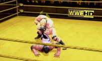 WWE All-Stars - Swagger finish