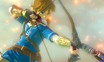 E3 2014 : un autre héros que Link pour Zelda Wii U ?