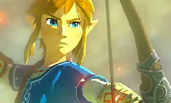 Zelda Breath of the Wild : une nouvelle image du jeu qui donne des ailes