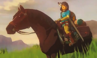 Zelda Wii U : 13 nouvelles secondes du jeu, et c'est très joli